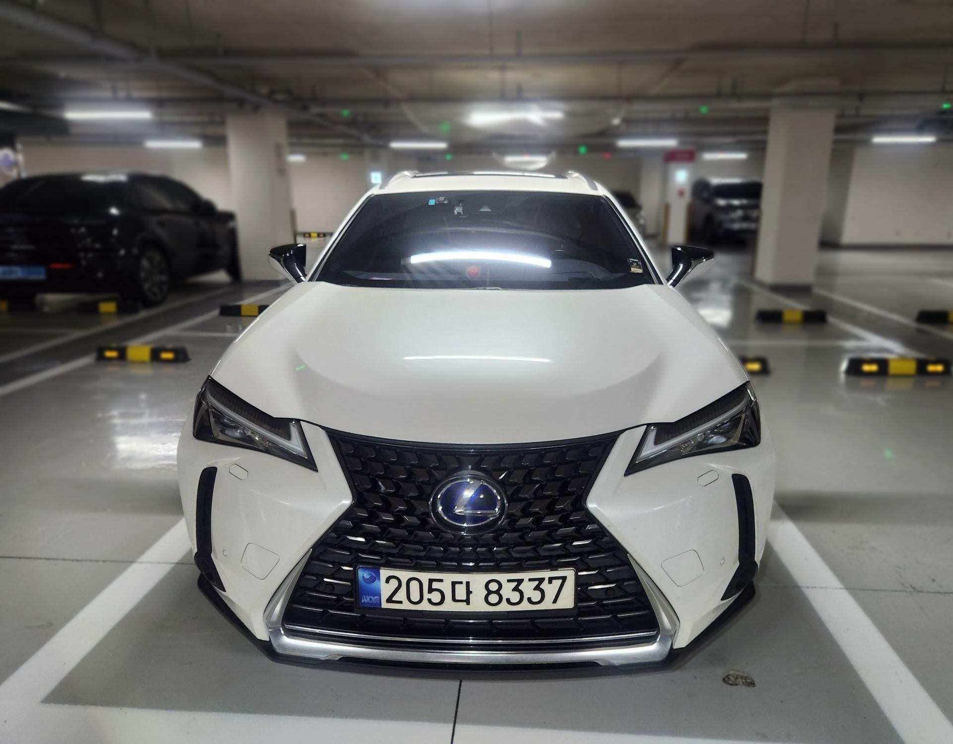 2021 Lexus UX250h 2.0 2WD