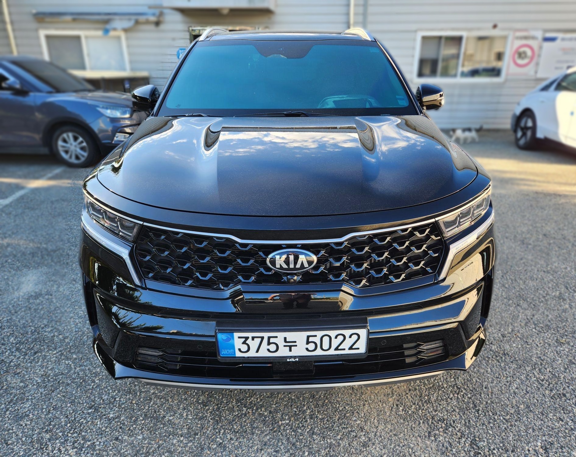 2021 Kia SORENTO 4 Generation (MQ4) HEV 1.6 2WD Signature