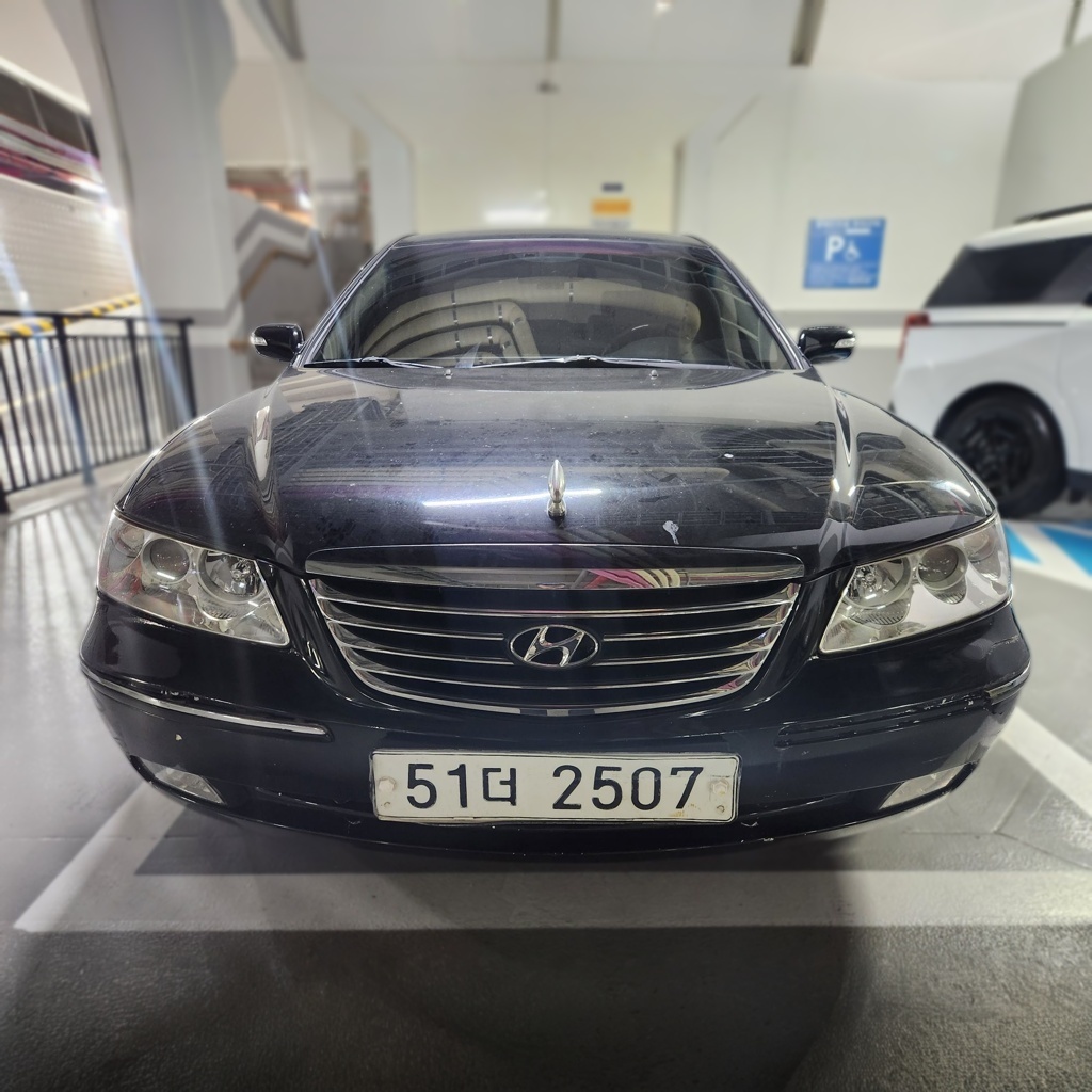 2009 Hyundai GRANDEUR New Luxury Q270 Luxury BASE MODEL
