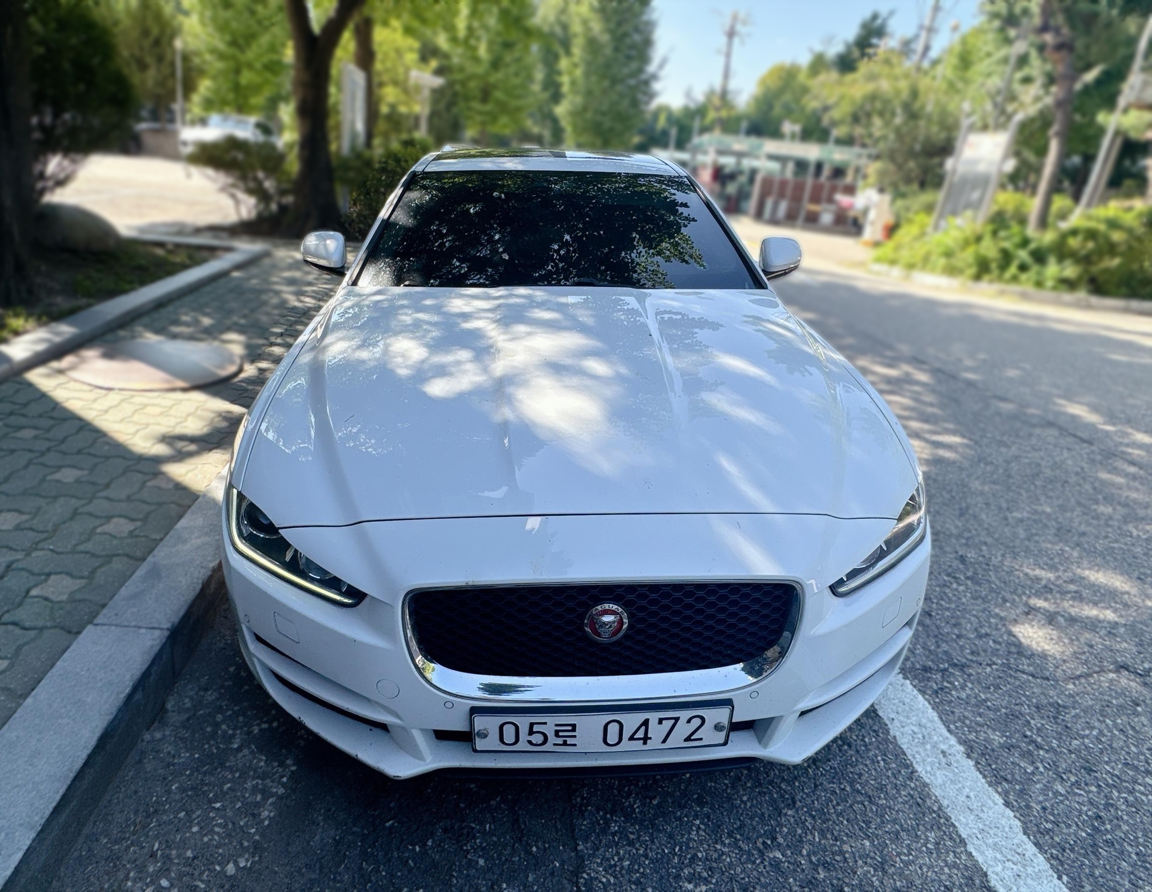 2016 Jaguar XE 20t Prestige — Korean import available from KcarDeals