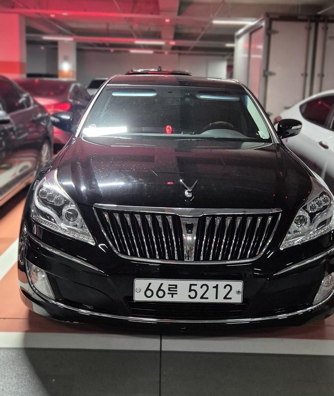 2012 Equus (New) VS500 Prestige