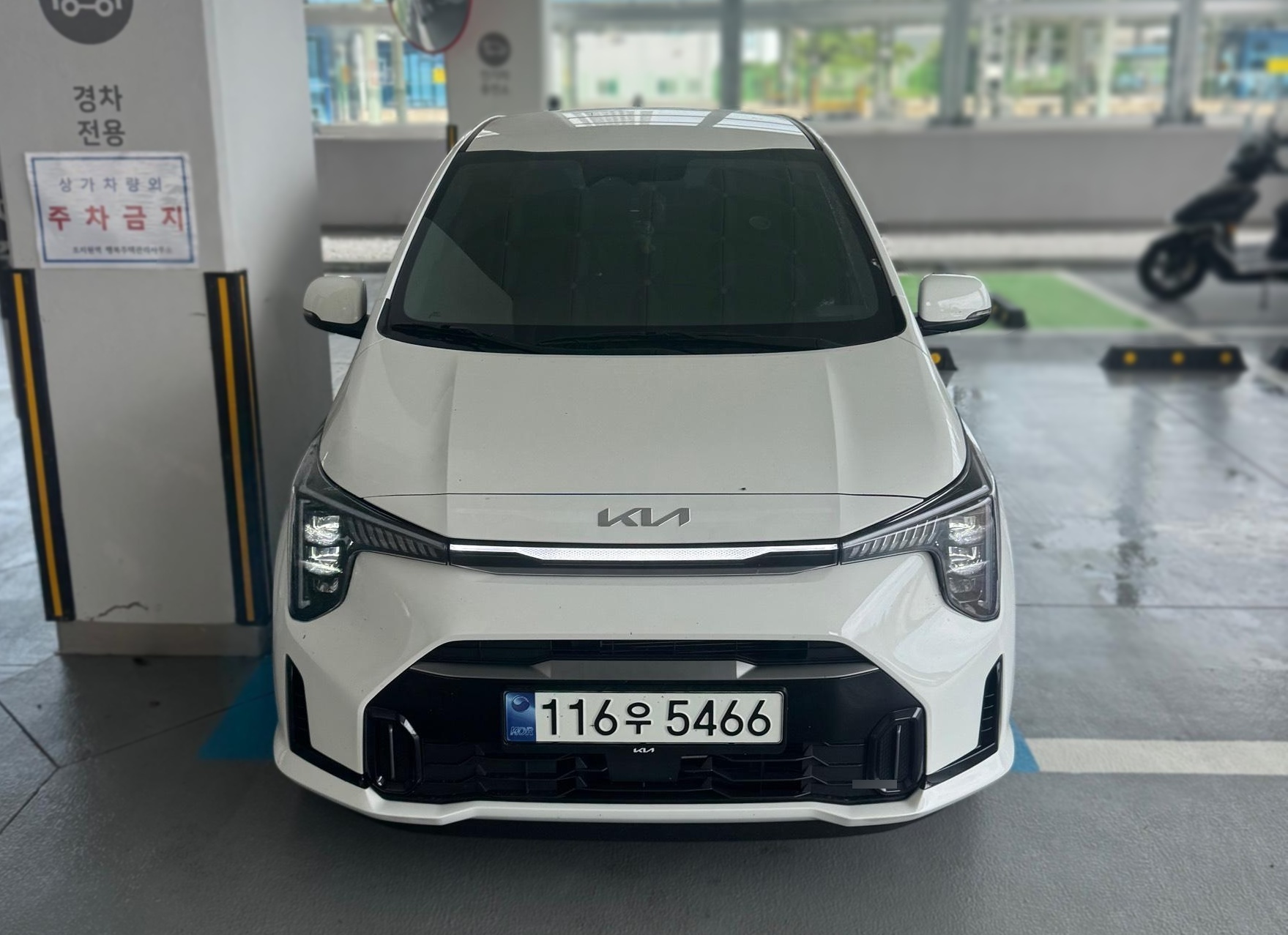 2024 Kia The New MORNING (JA) Signature