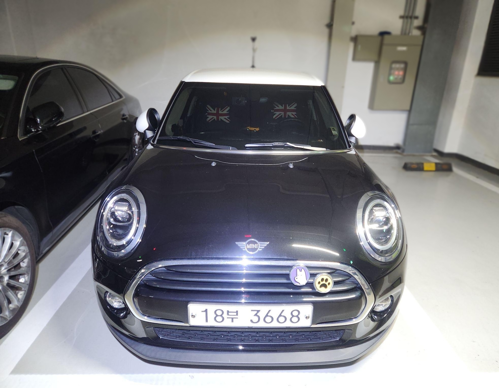 2019 MINI COOPER 3 Generation (F56) 5-door BASE MODEL
