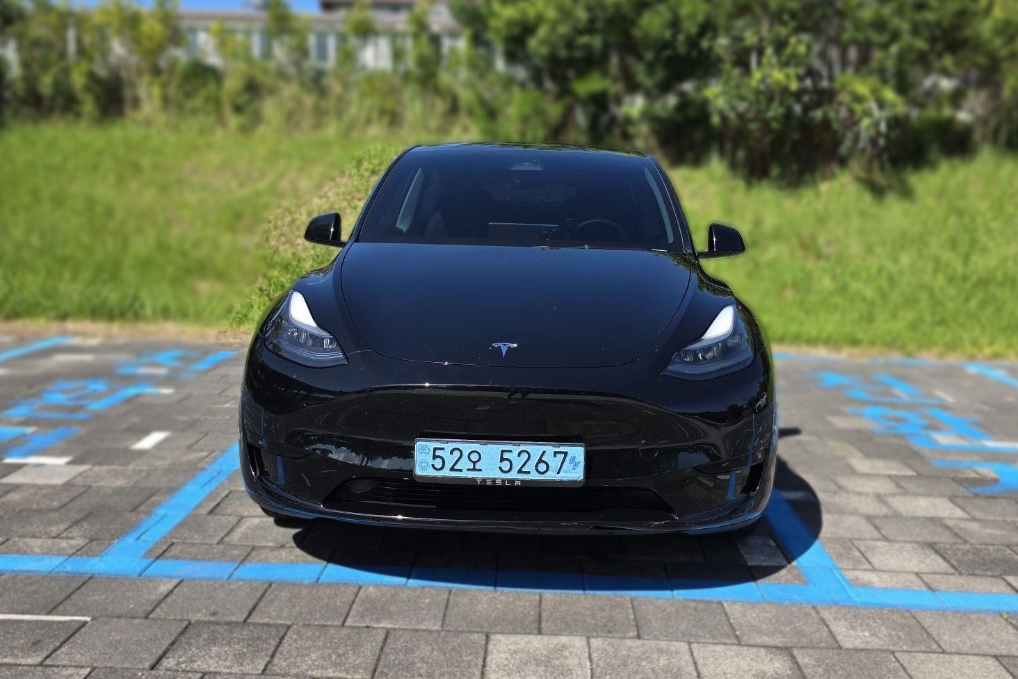 2024 Tesla Model Y RWD