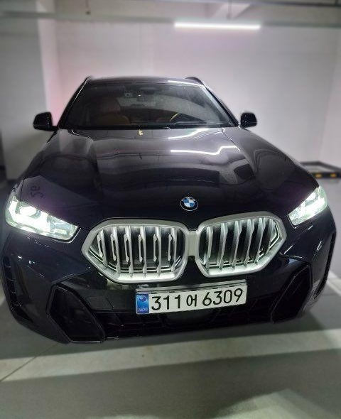 2025 BMW X6 (G06) xDrive 40i M SPORT