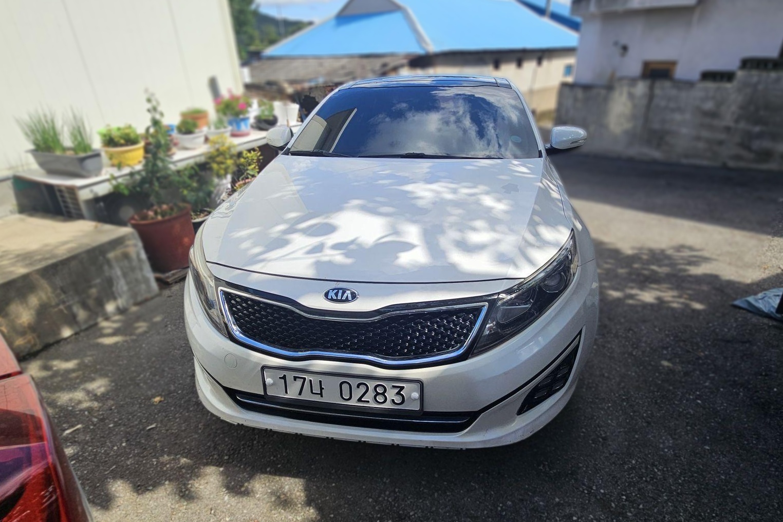 2015 Kia The New K5 Luxury TRENDY — Korean import available from KcarDeals