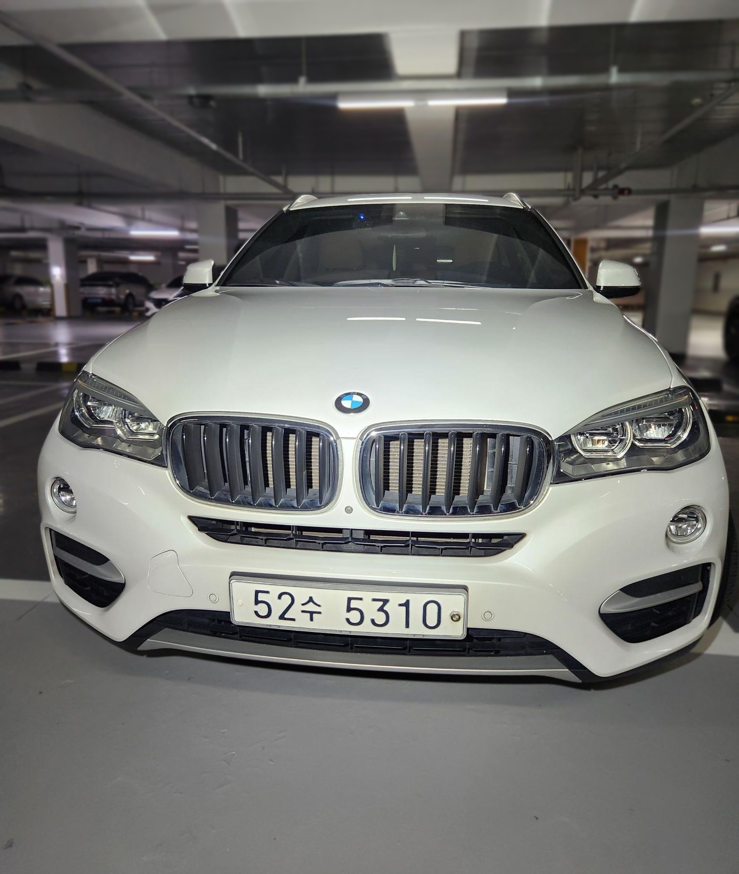 2018 BMW X6 (F16) xDrive 30d