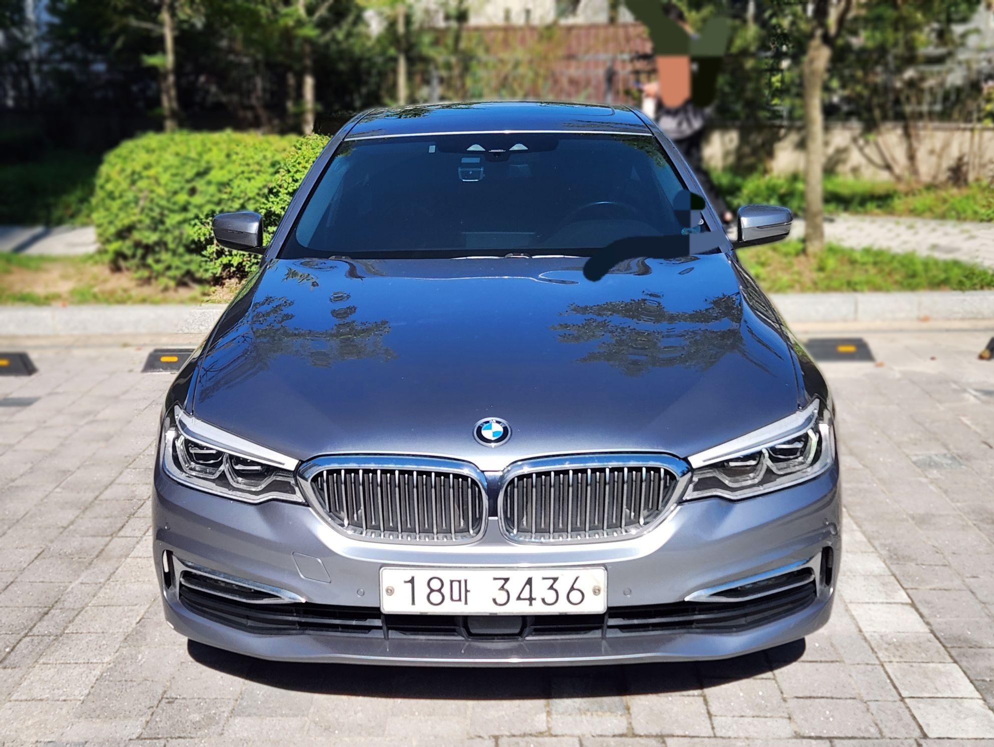 2018 BMW 5 SERIES (G30) 520d Luxury PLUS