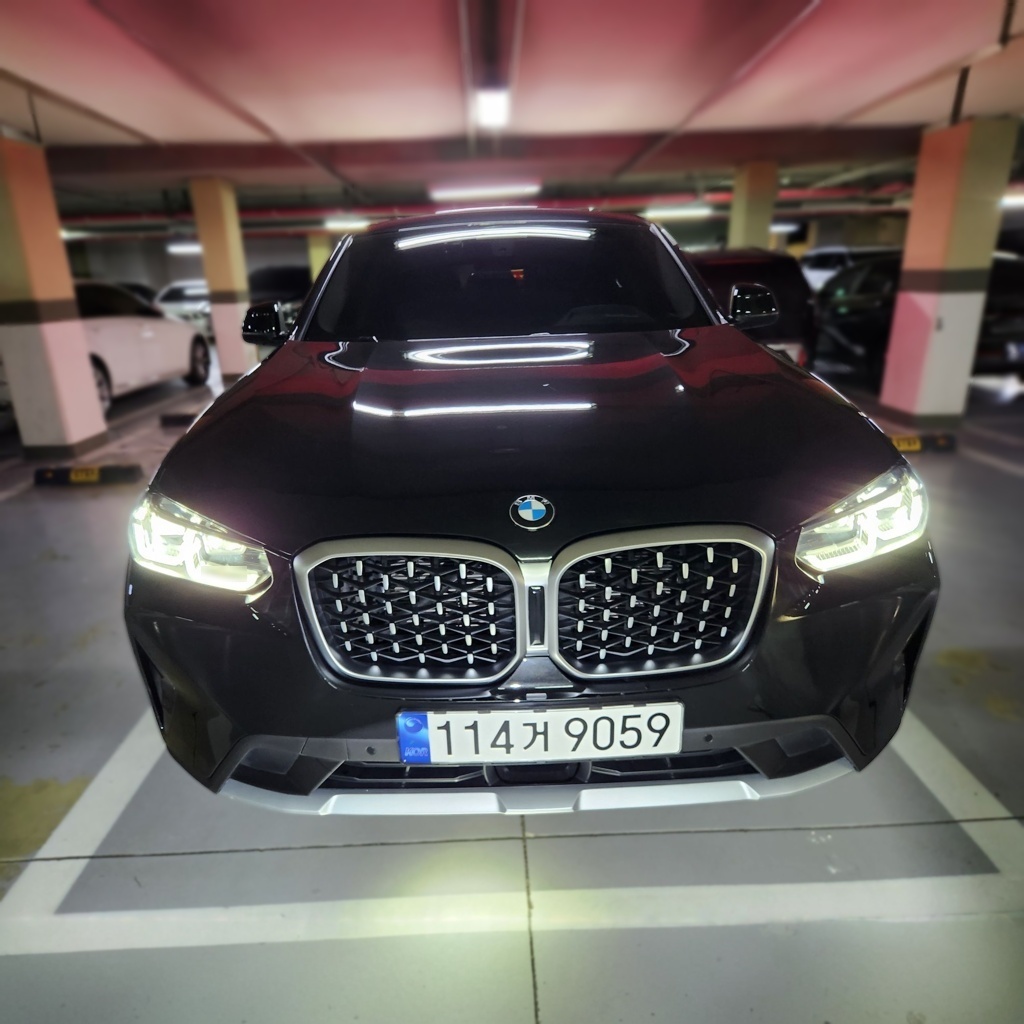 2023 BMW X4 (G02) xDrive20i xLine — photograph 1 of 1