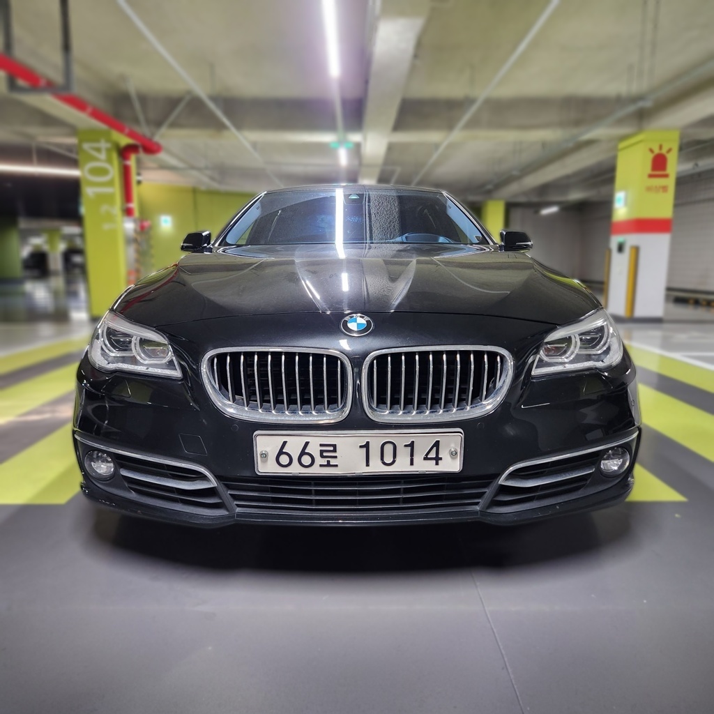 2016 BMW 5 SERIES (F10) 520d xDrive Luxury PLUS PRO EDITION