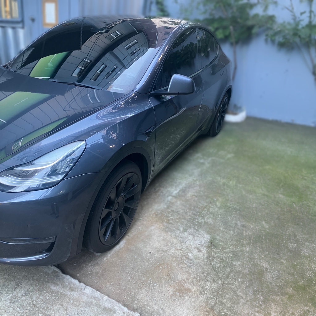 2021 Tesla Model Y Long Range — photograph 1 of 1