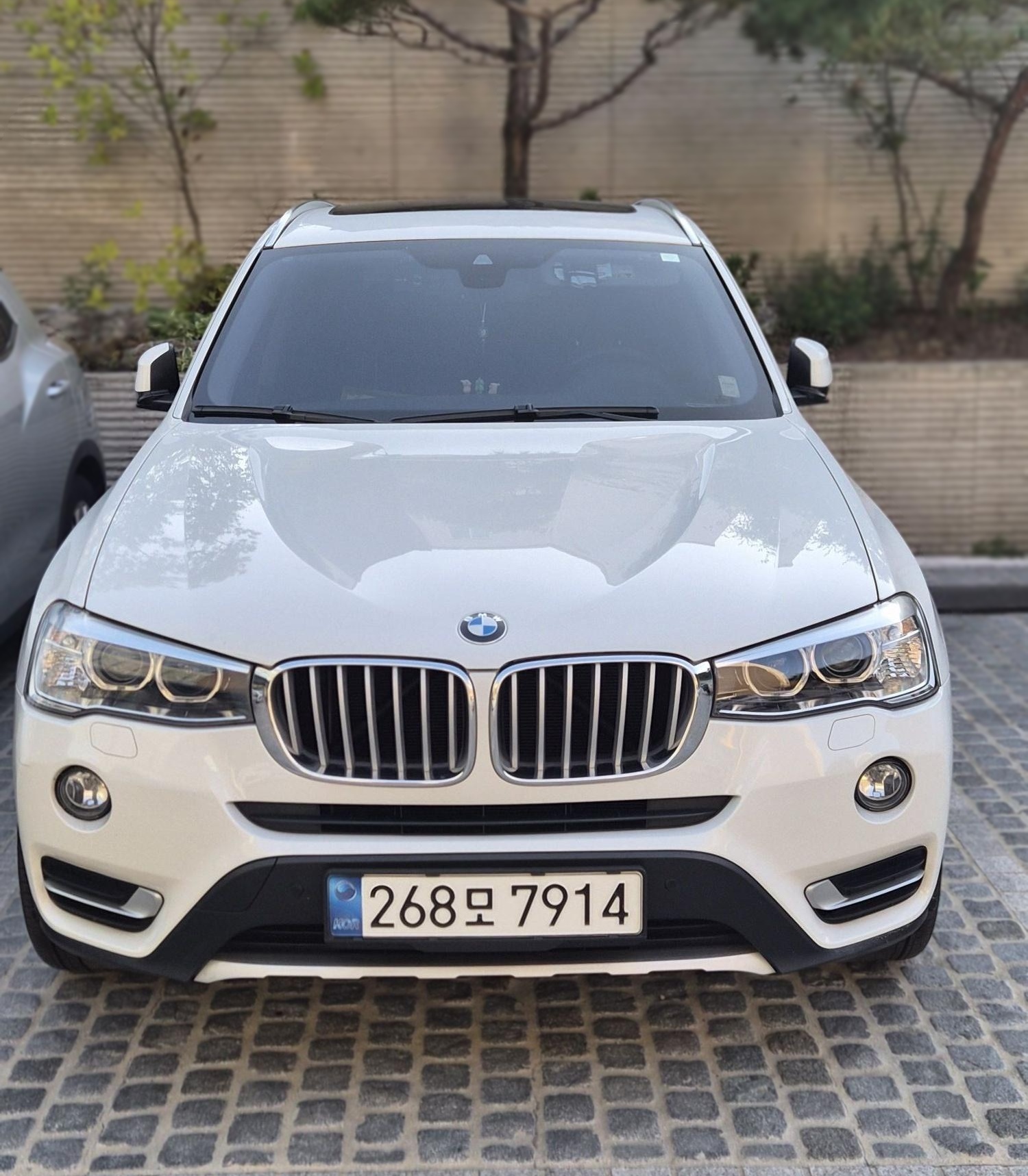 2016 BMW X3 (F25) xDrive 20d F25