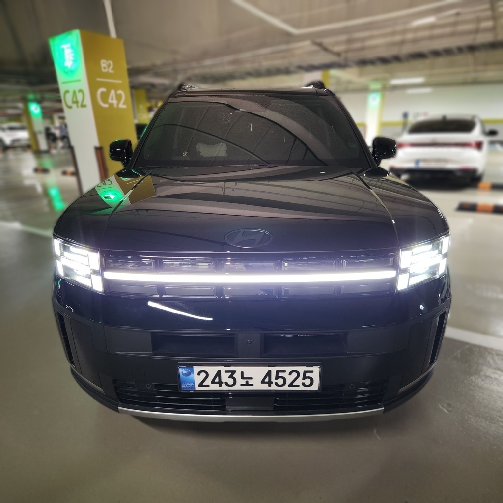 Hyundai The All-New Santa Fe Hybrid (MX5)