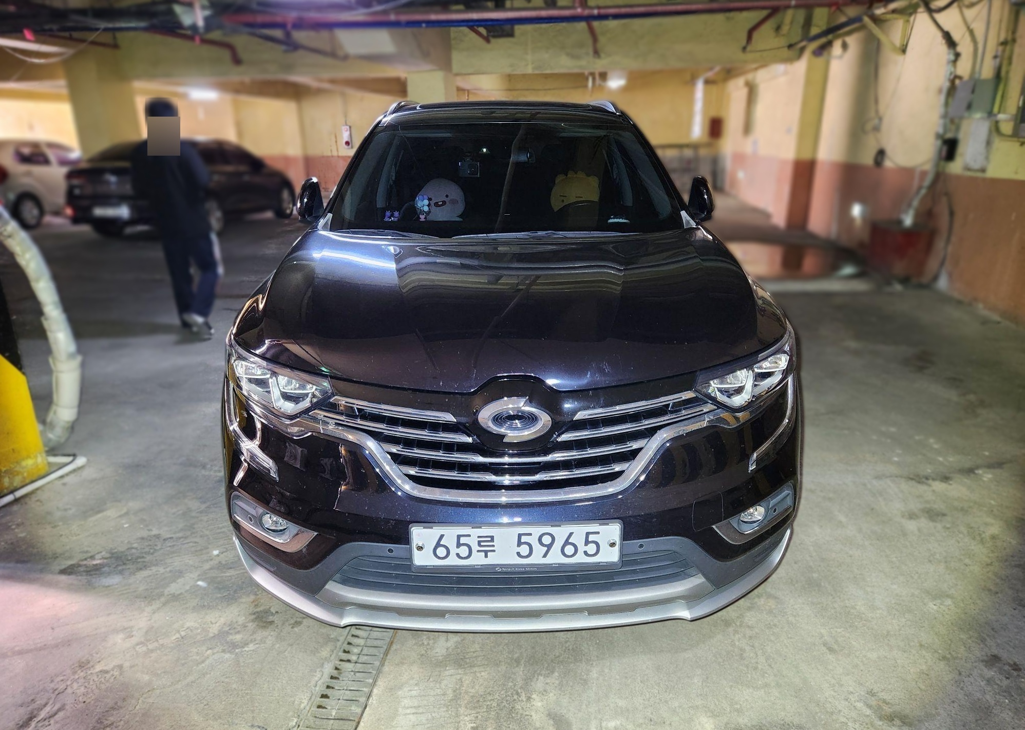 Renault Korea (Samsung) QM6