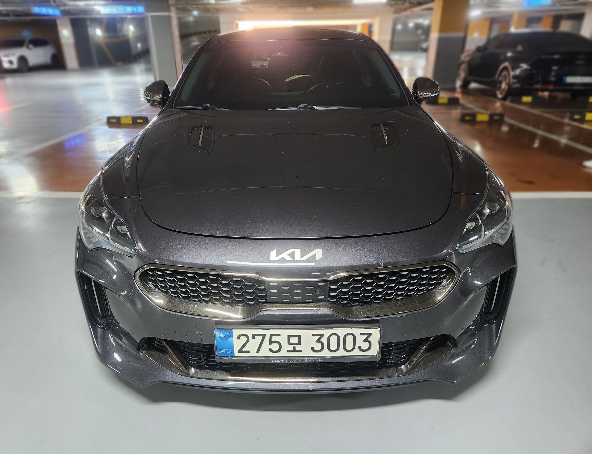 Kia Stinger Meister