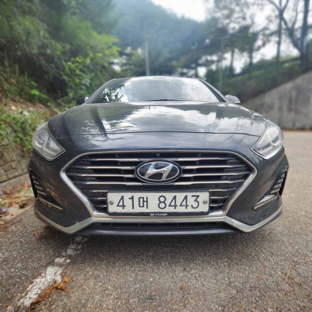 Hyundai Sonata New Rise