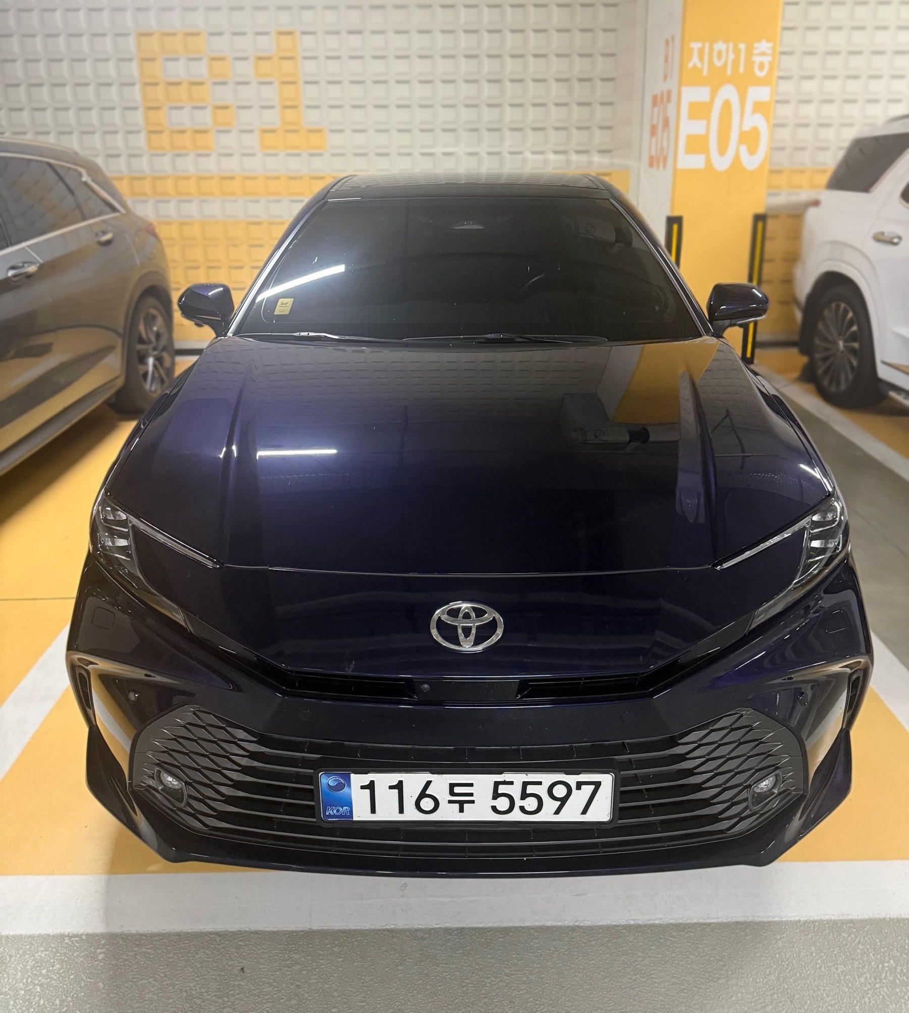 Toyota Camry (XV80)