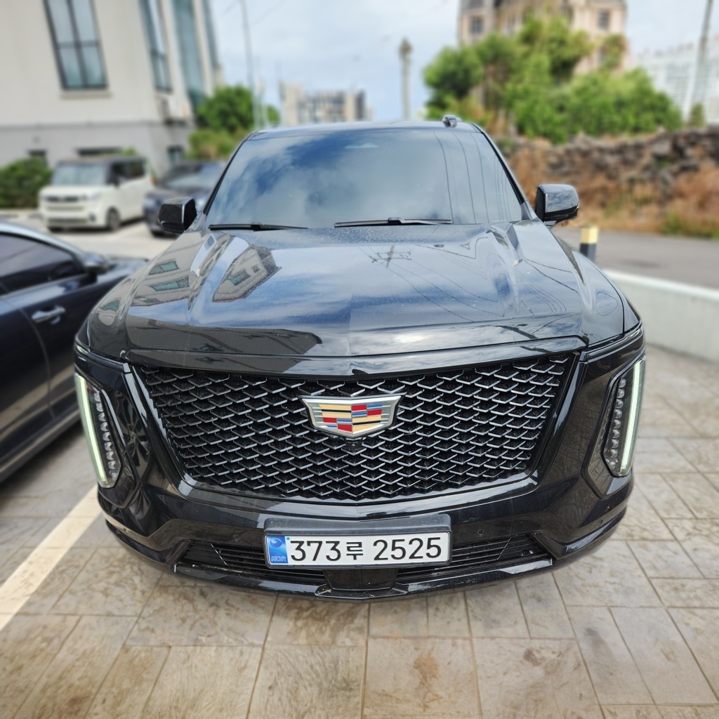 2025 6.2 Sports PLATINUM — photograph 1 of 1