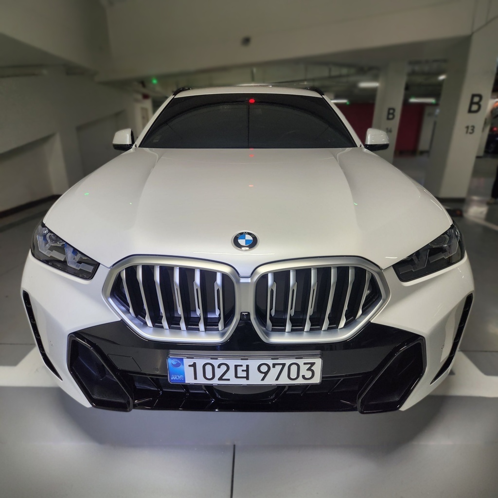 2024 BMW X6 (G06) xDrive 40i M SPORT — photograph 1 of 1
