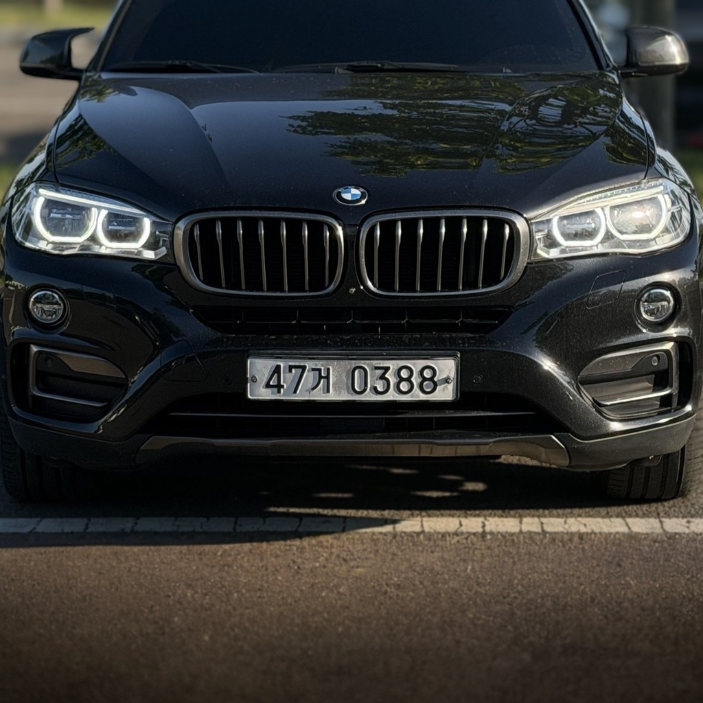 BMW X6 (F16)