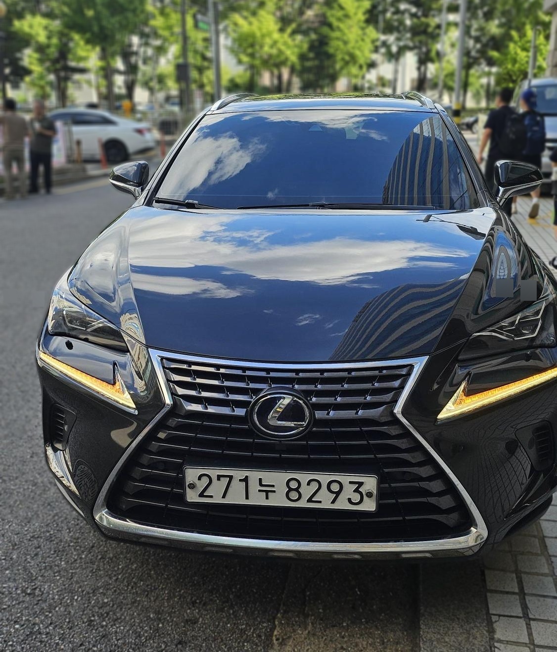 Lexus NX300h
