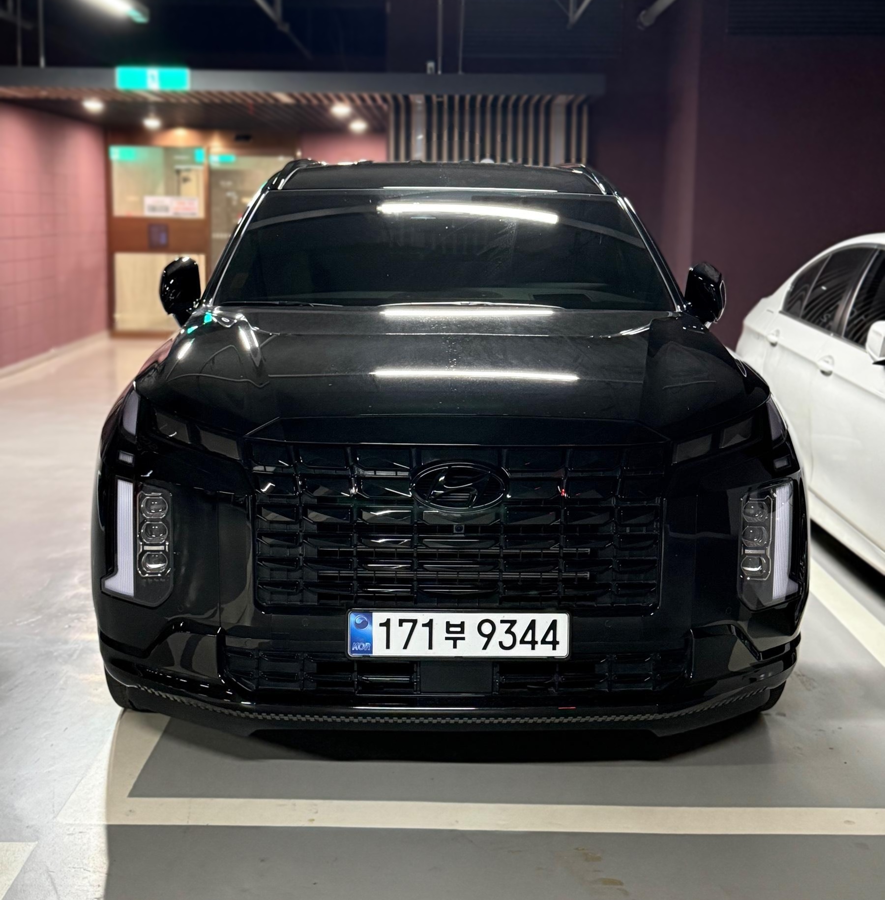 Hyundai The New Palisade