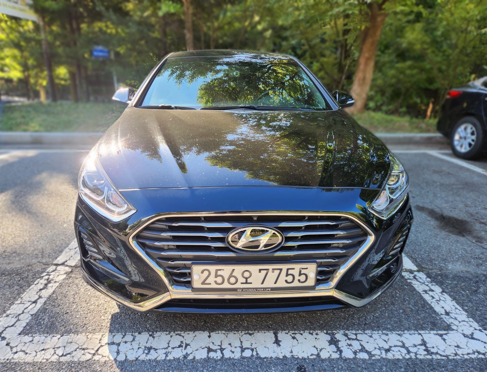 Hyundai Sonata New Rise