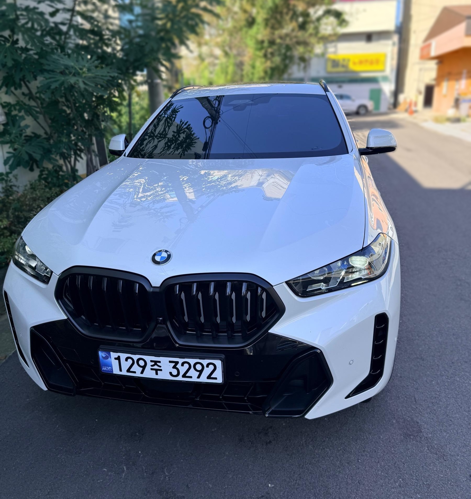 BMW X6 (G06)