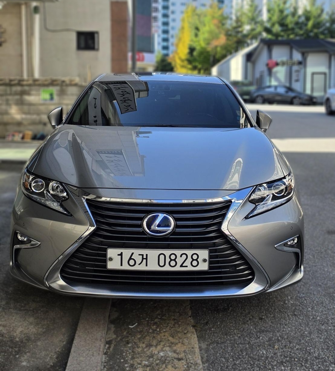 Lexus New ES300h