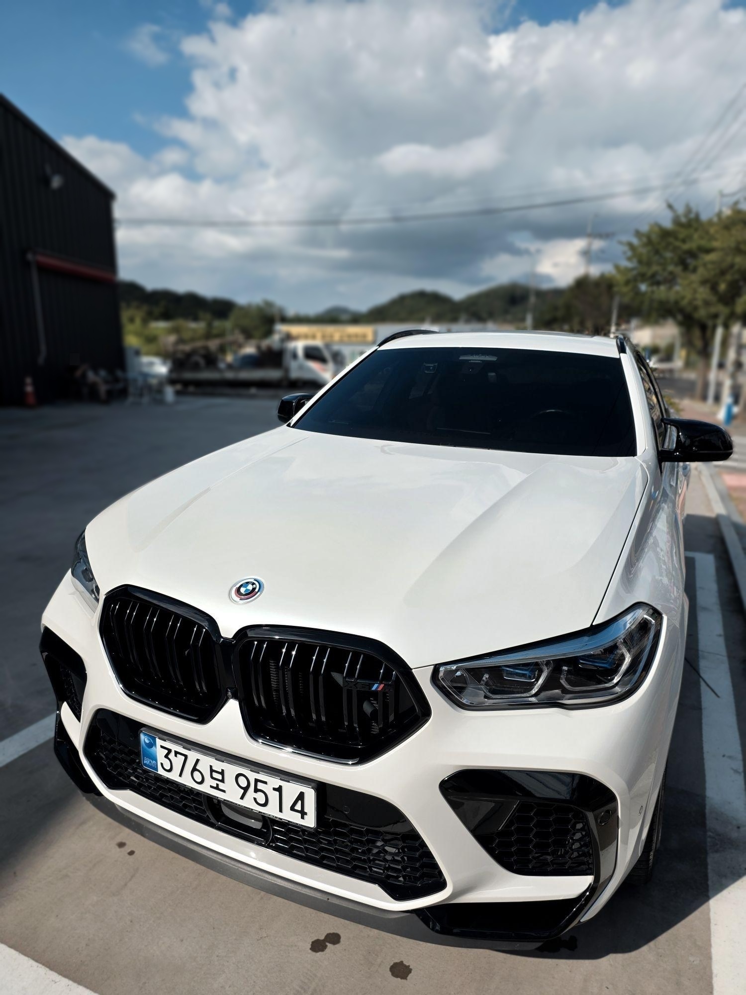 BMW X6M (F96)