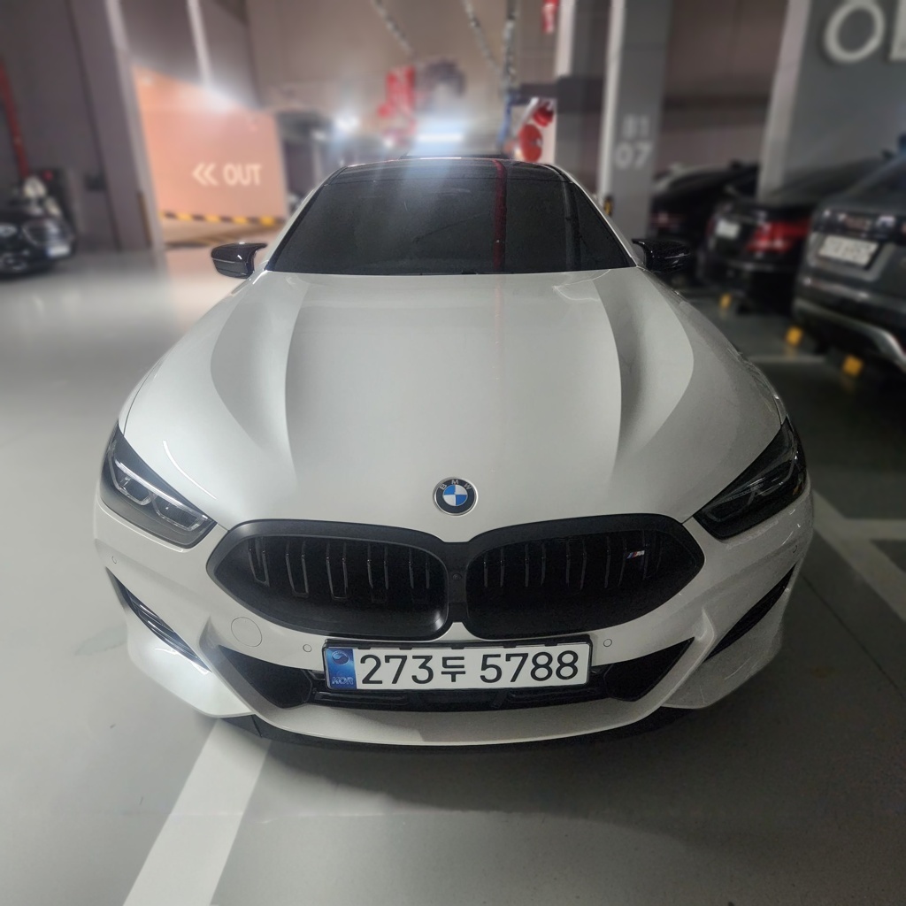 BMW 8 Series (G15)