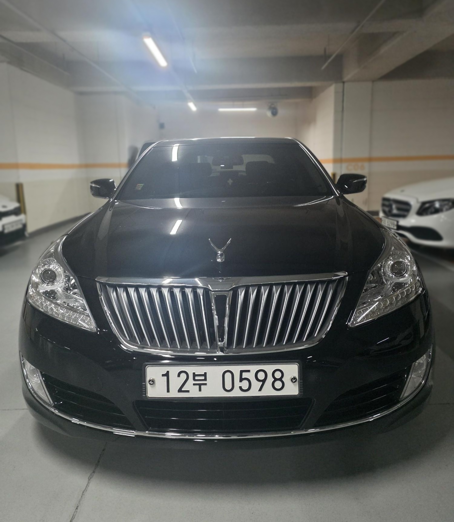 Hyundai Equus (New)