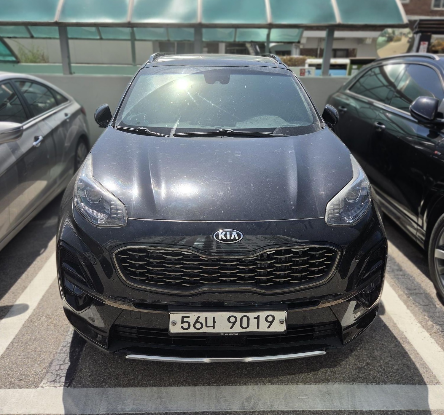 Kia Sportage The Bold