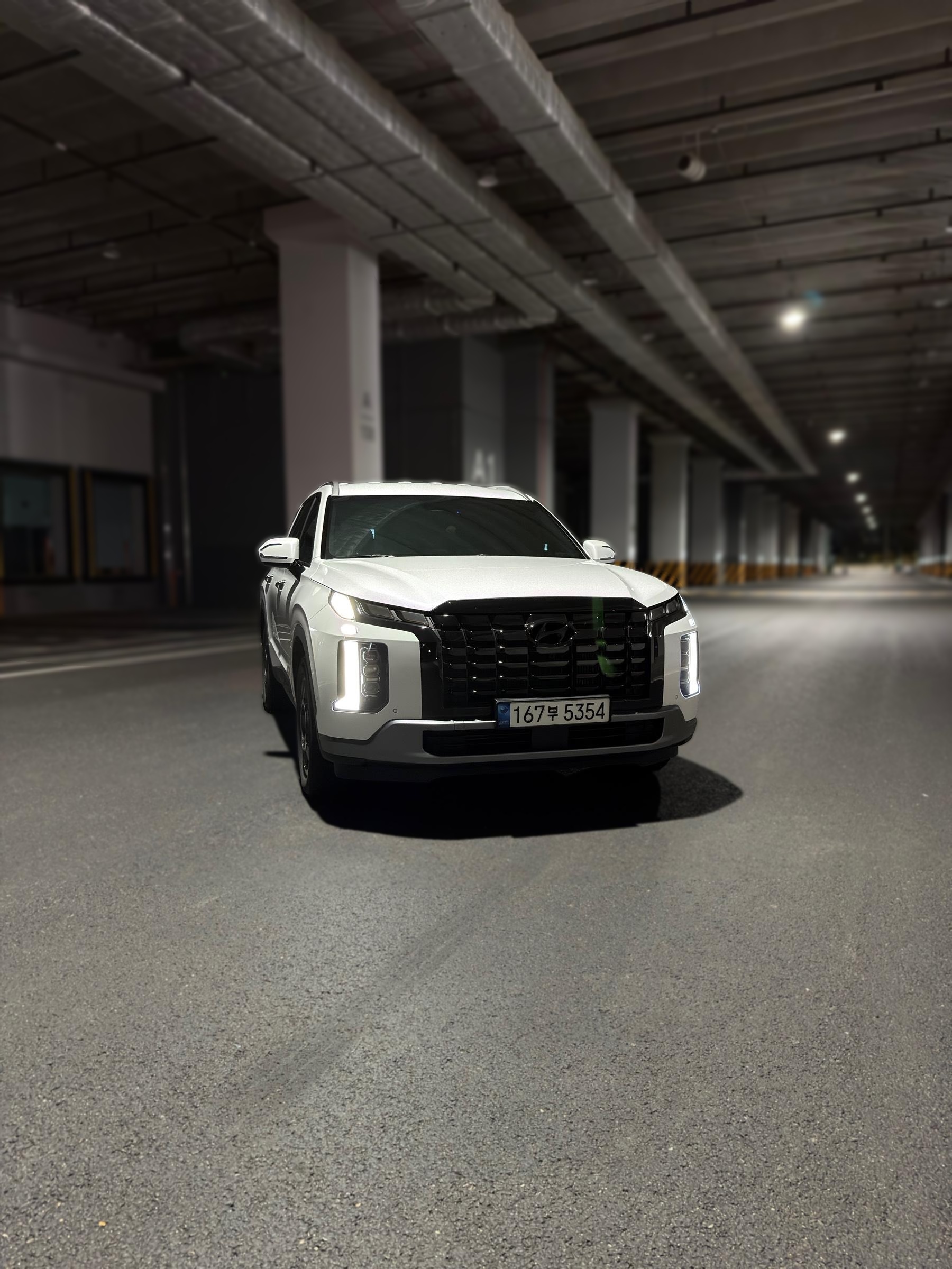 Hyundai The New Palisade