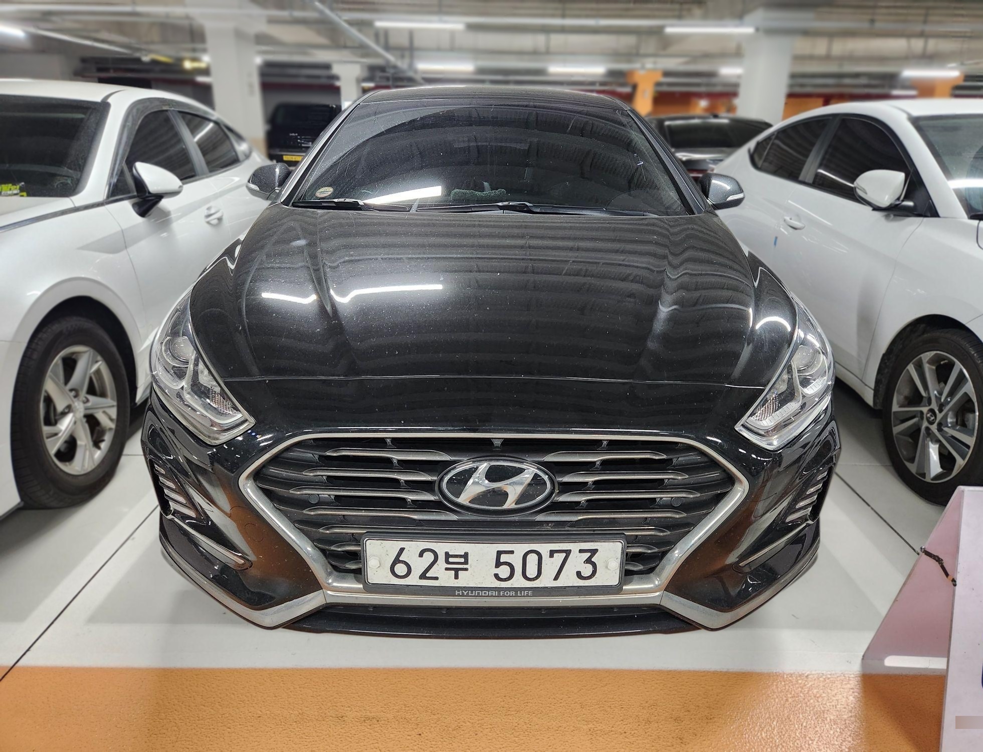 Hyundai Sonata New Rise