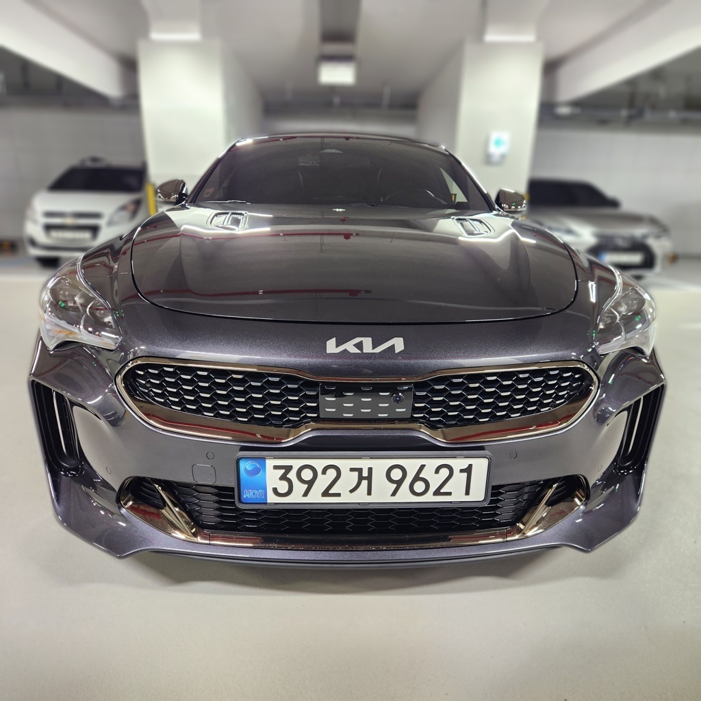 Kia Stinger Meister