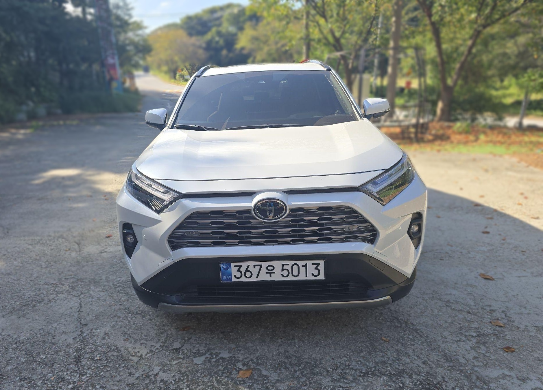 Toyota RAV4 5th Gen