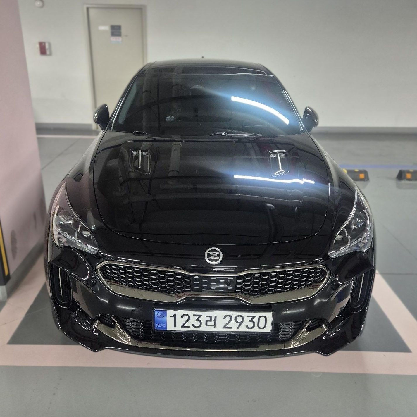 Kia Stinger Meister