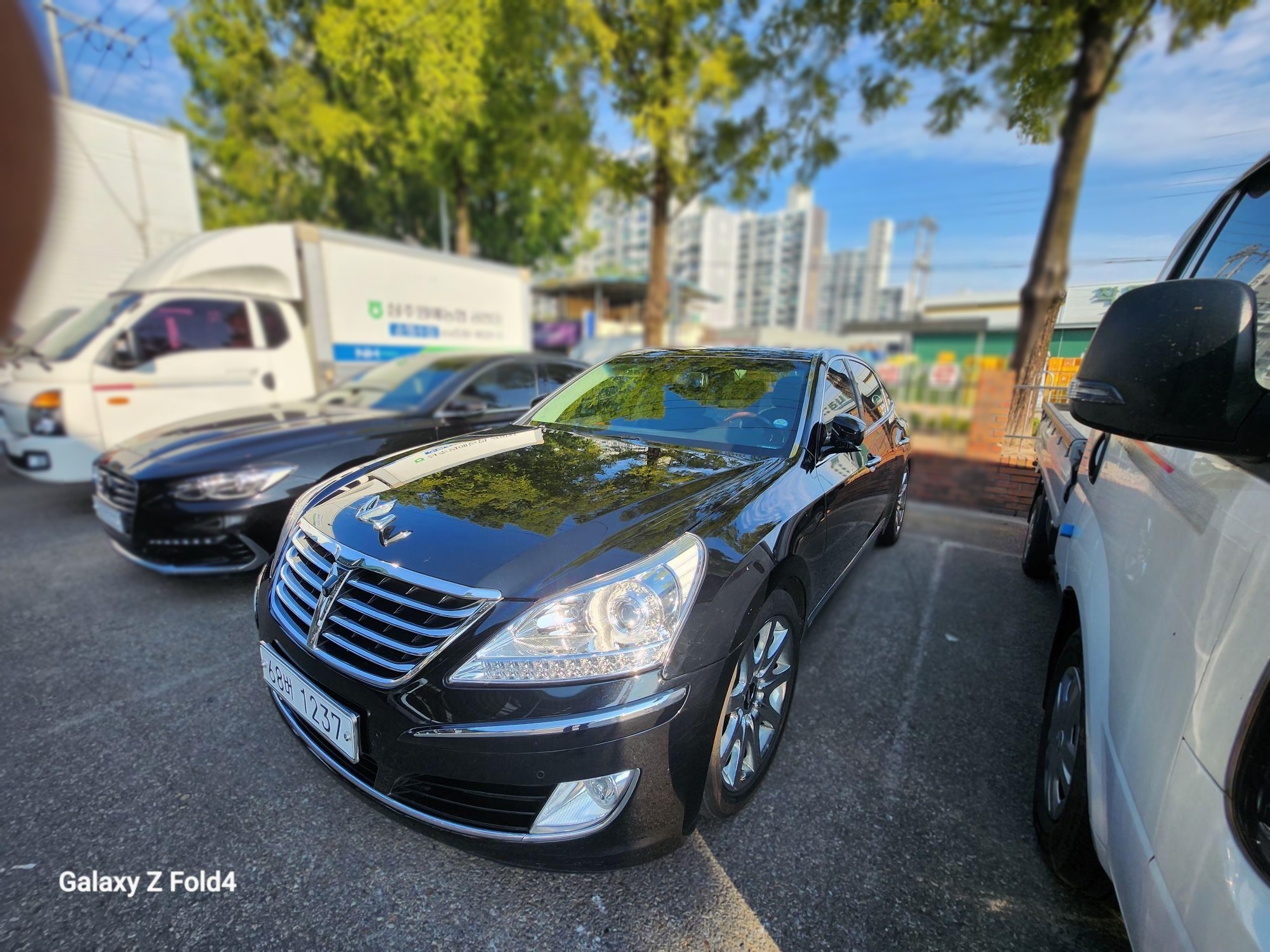 Hyundai Equus (New)