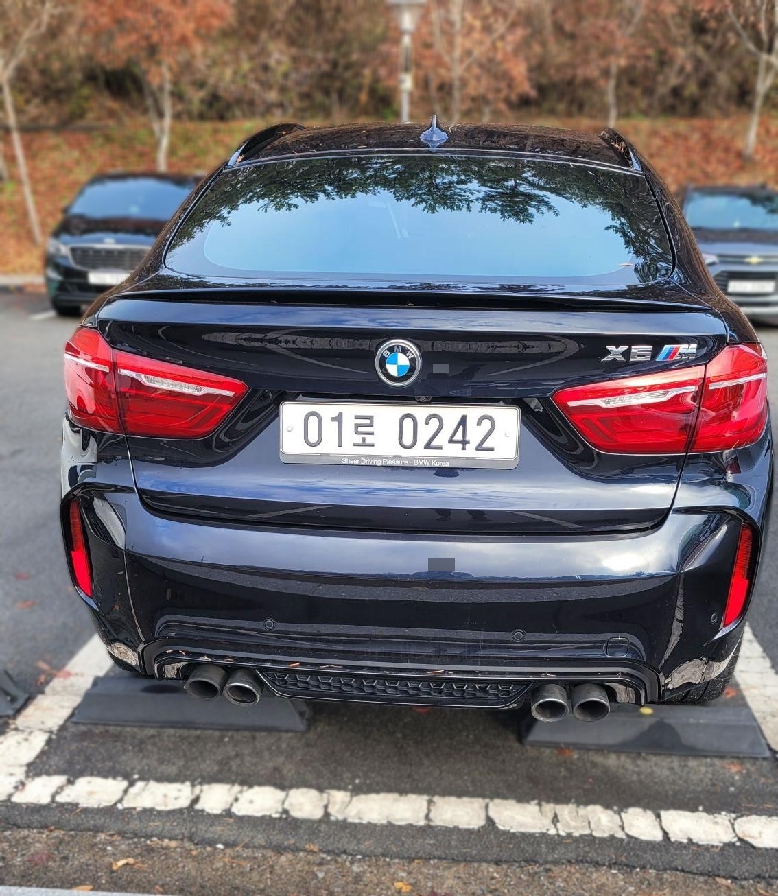 BMW X6M (F86)