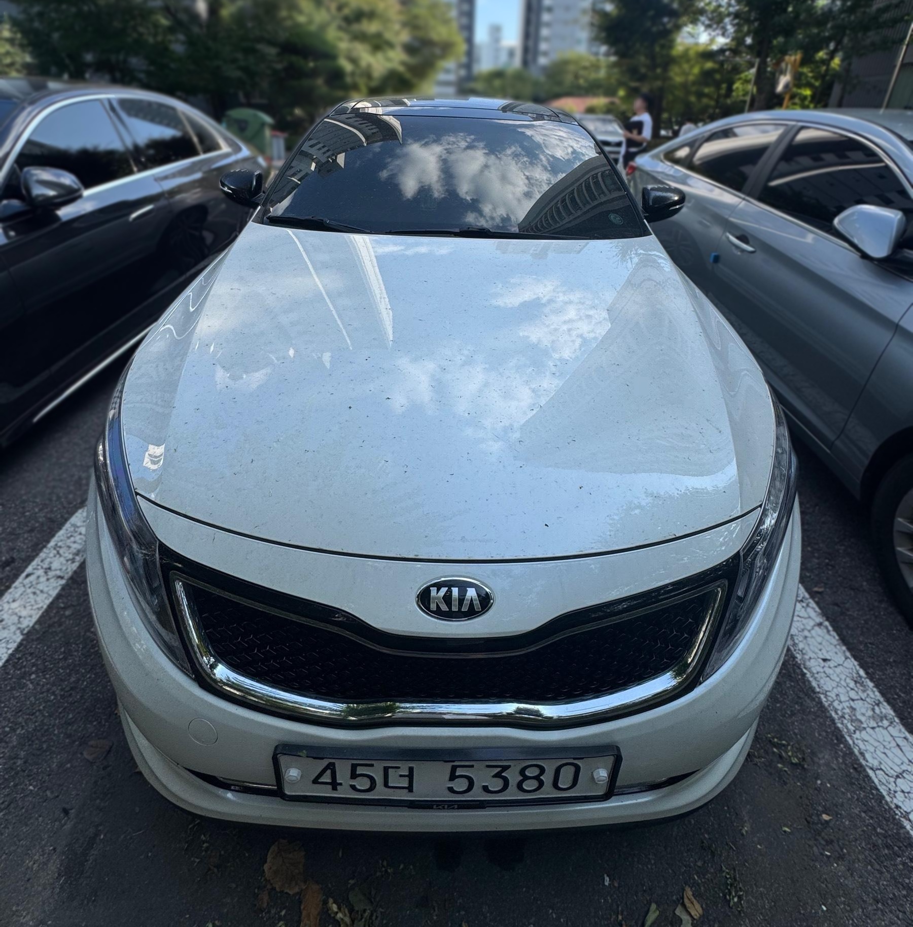 Kia The New K5