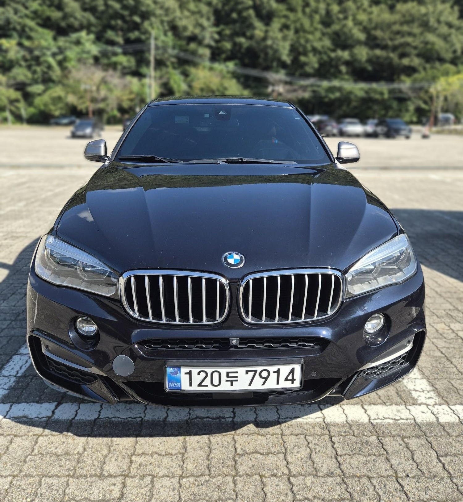 BMW X6 (F16)