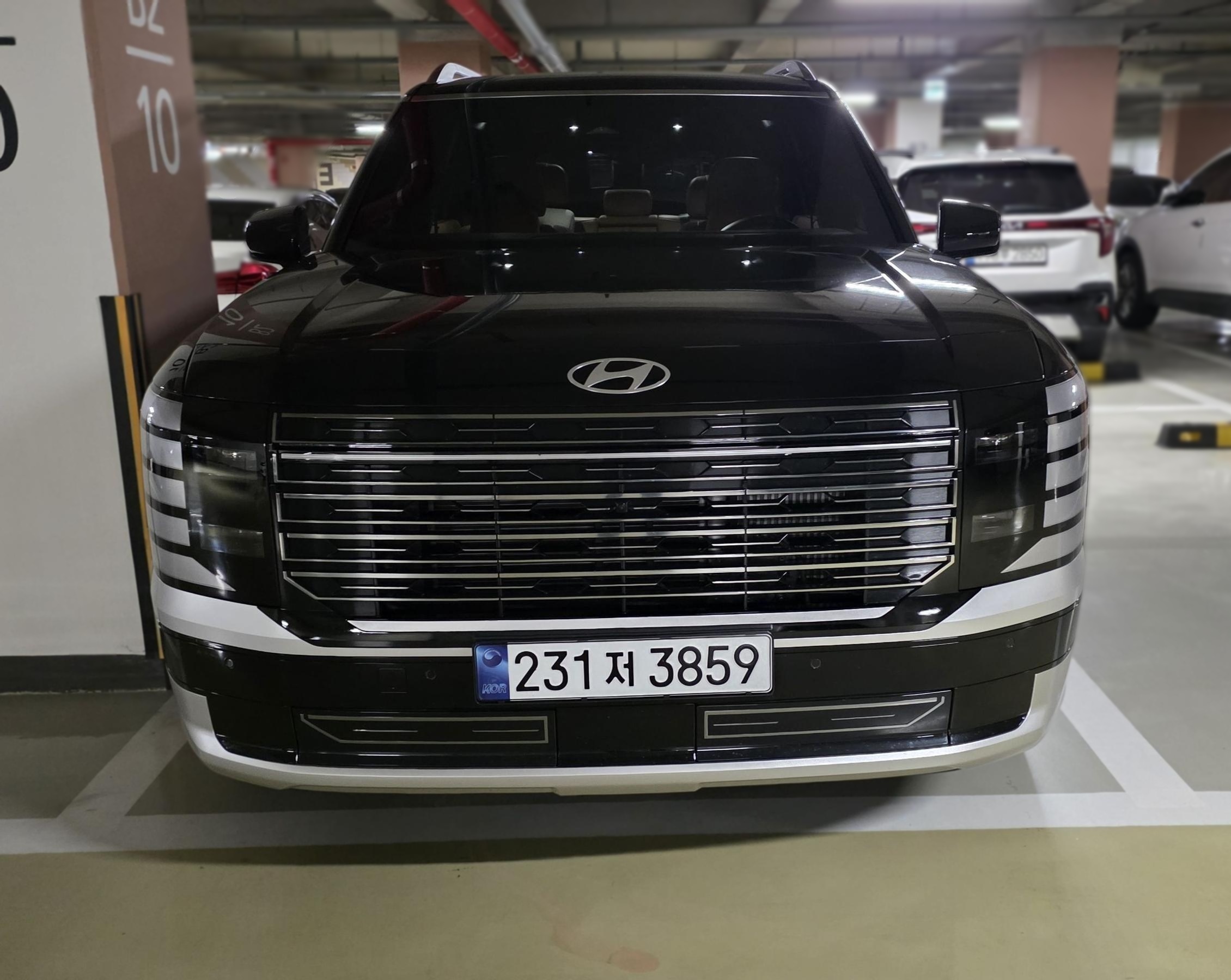 Hyundai The All-New Palisade Hybrid