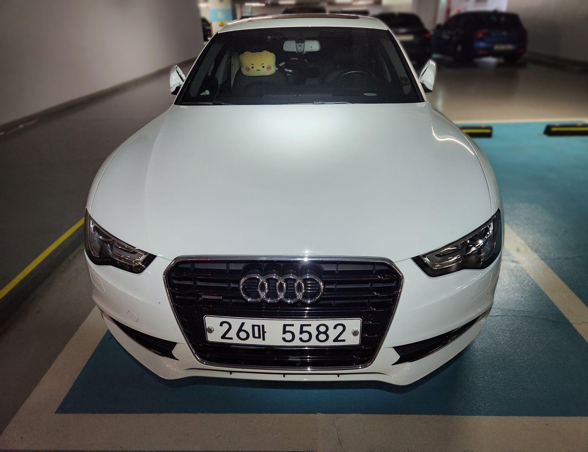 Audi A5 (8TA)