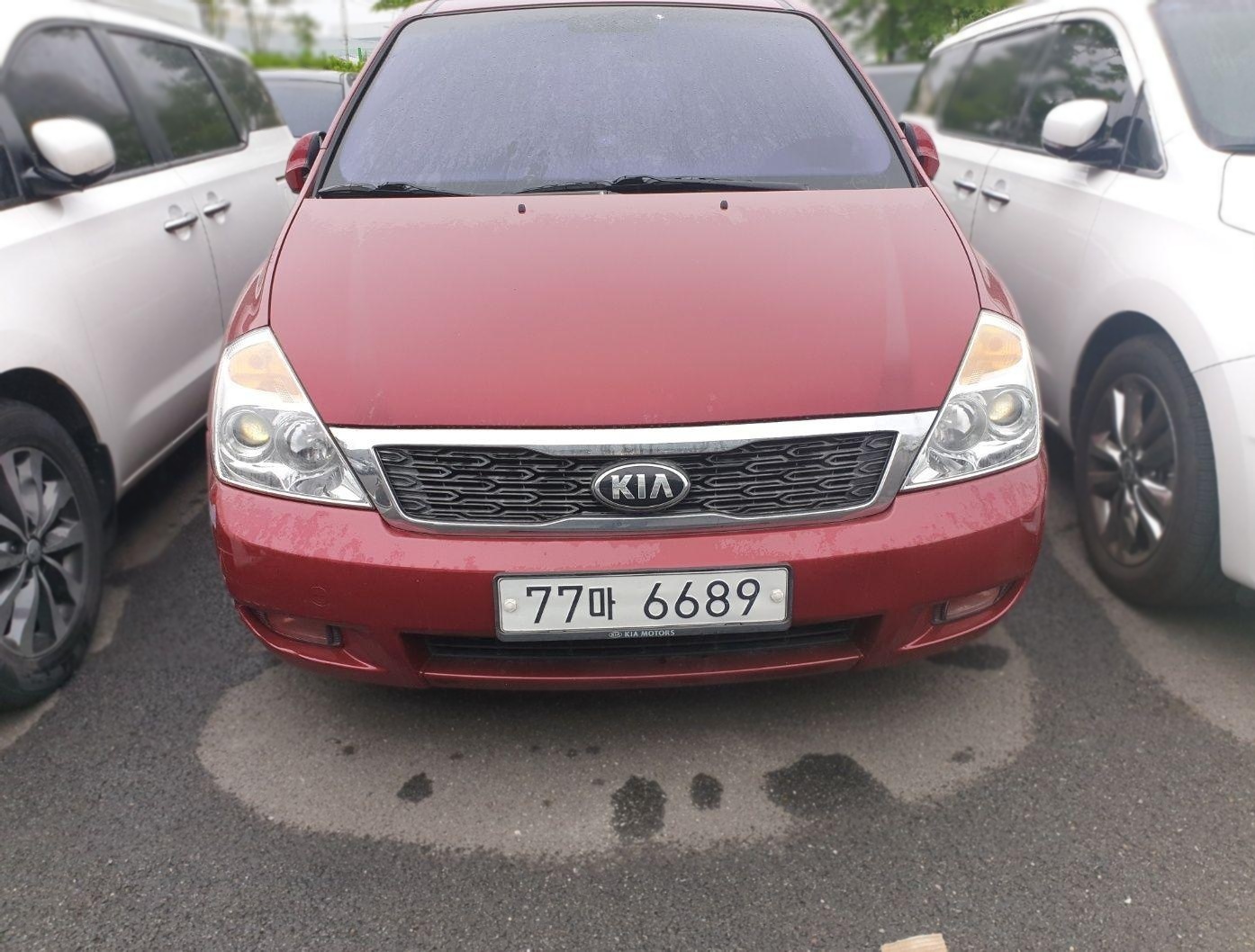 Kia Carnival R