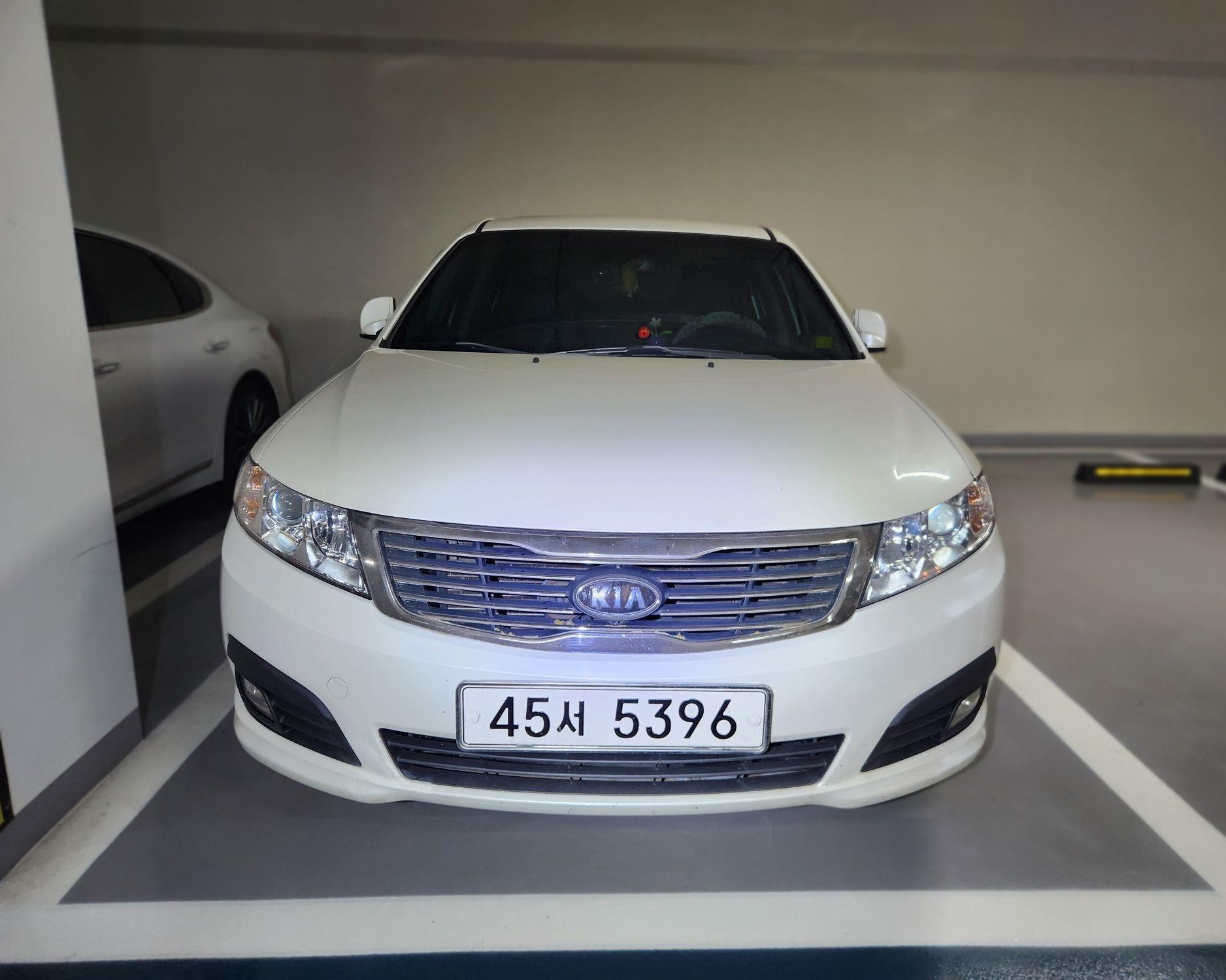 Kia Lotze Innovation