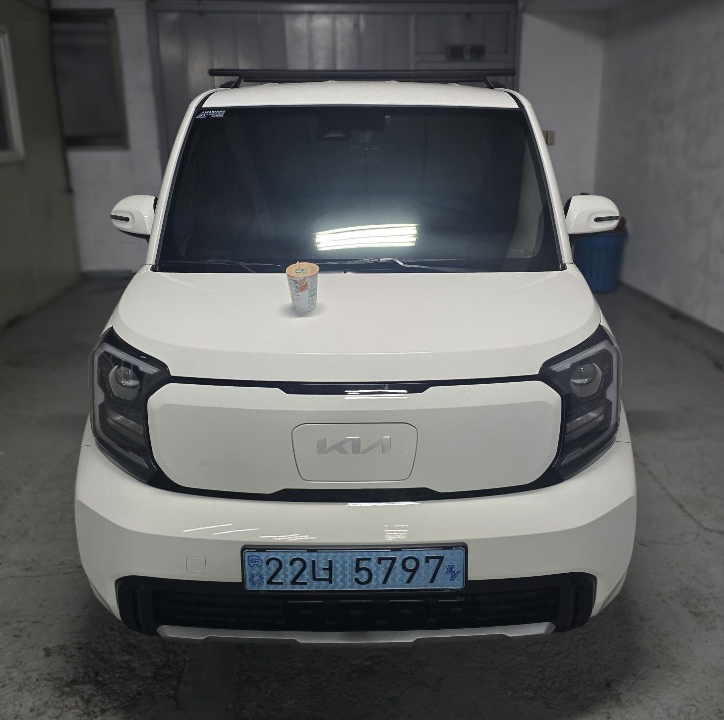 Kia The New Ray EV