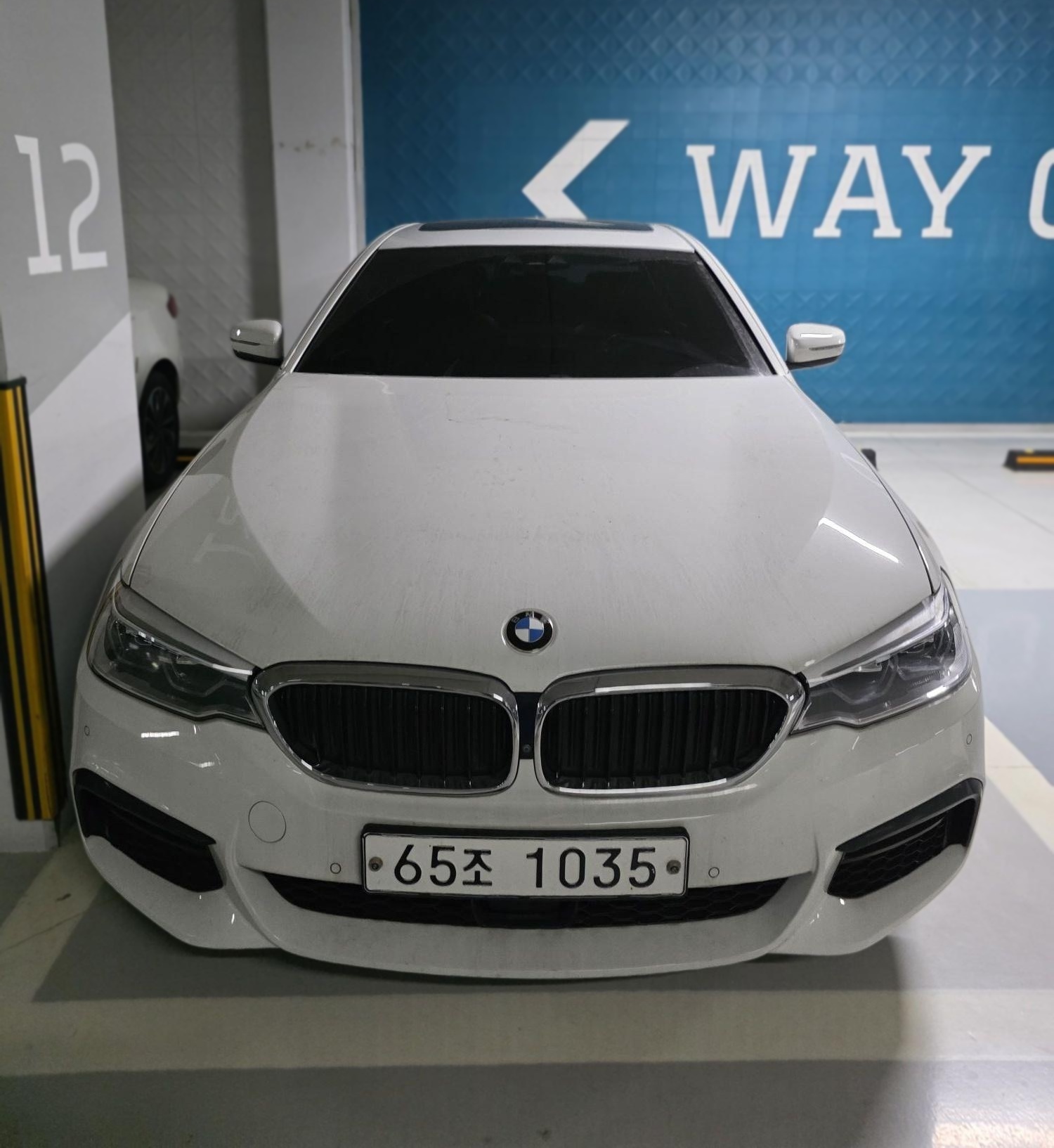 BMW 5 Series (G30)