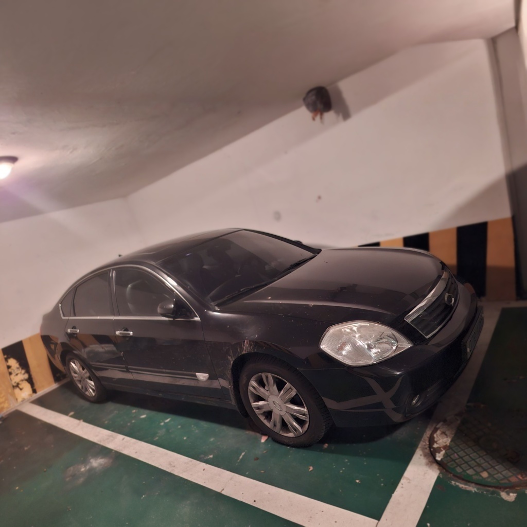 Renault Korea (Samsung) New SM5