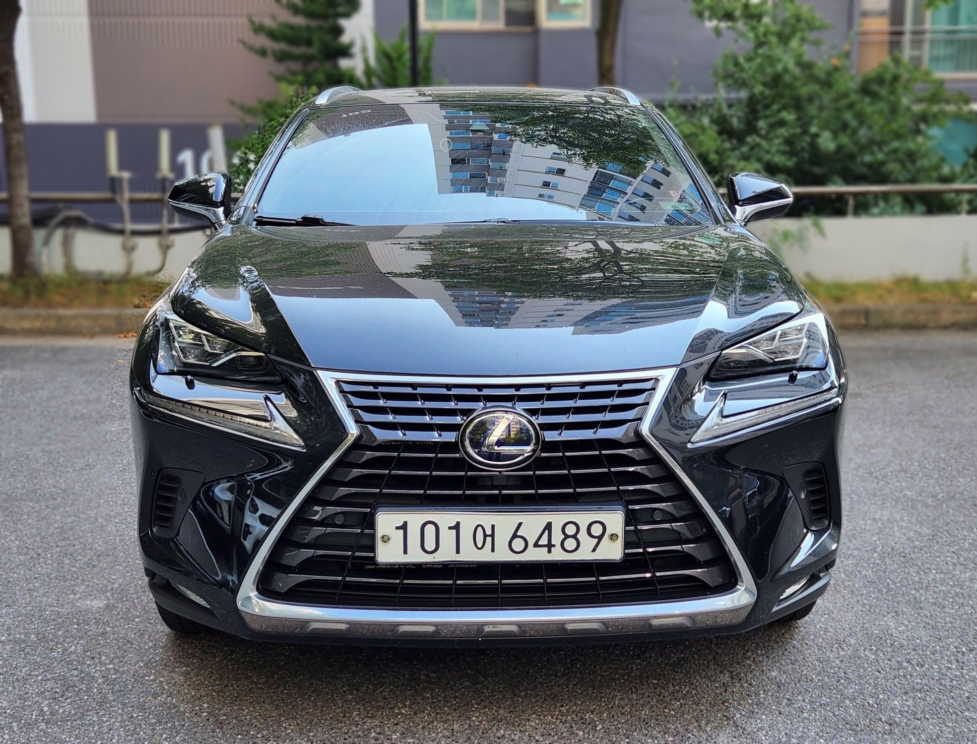 Lexus NX300h